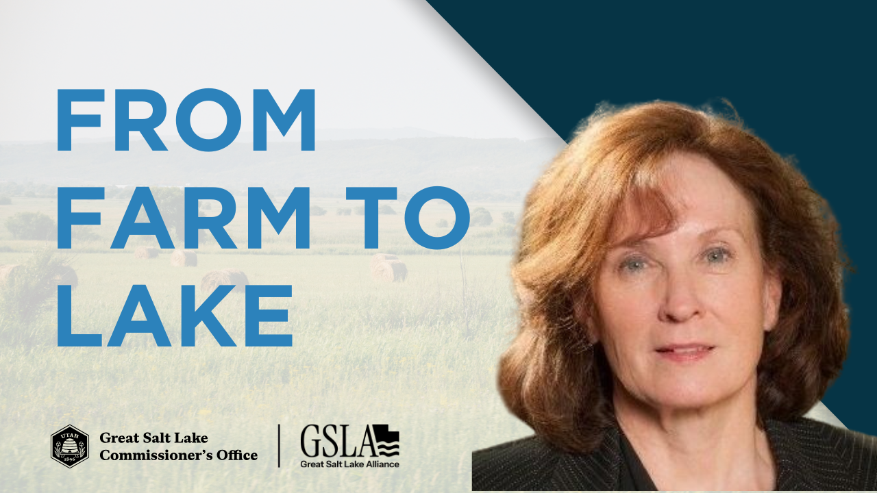From Farm to Lake: How Water Leases Help GSL | Marcelle Shoop, Watershed Enhancement Trust